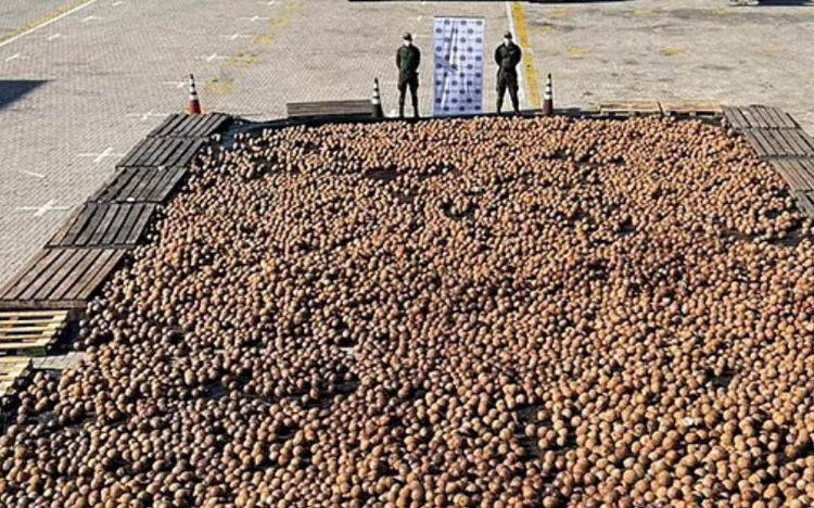 Colombia thu giữ hàng chục nghìn quả dừa chứa cocaine 