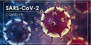 Còn quá sớm để xem SARS-CoV-2 là cúm mùa