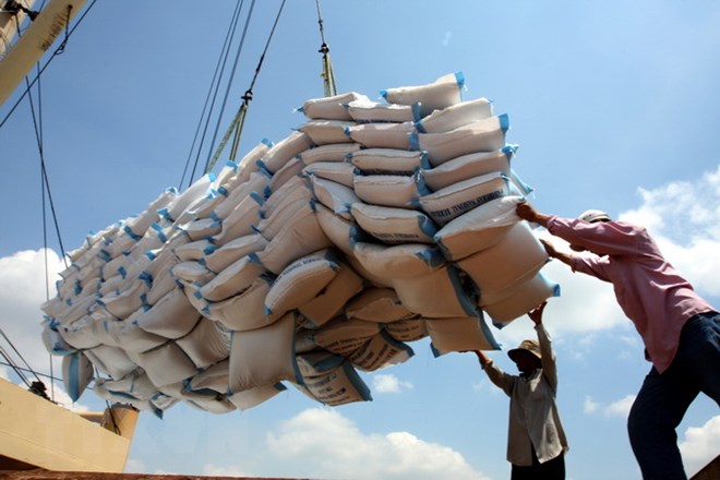 Dự báo xuất khẩu gạo của Việt Nam năm 2023 đạt 6,5 - 7 triệu tấn