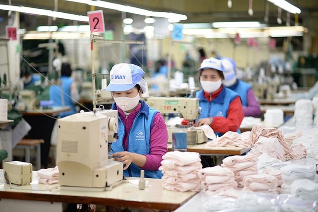 Lý do nhiều mặt hàng xuất khẩu chủ lực của Việt Nam giảm mạnh 