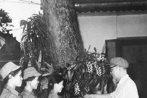 Ngày 8-3-1952: Bác Hồ khẳng định “Non sông gấm vóc Việt Nam do phụ nữ ra sức dệt thêu mà thêm tốt đẹp, rực rỡ”