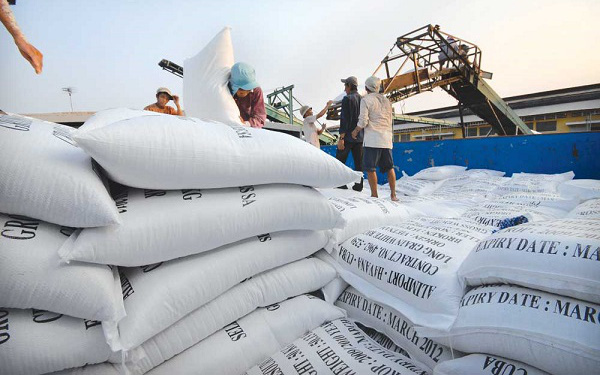 Giá gạo xuất khẩu Việt Nam vượt xa Thái Lan 