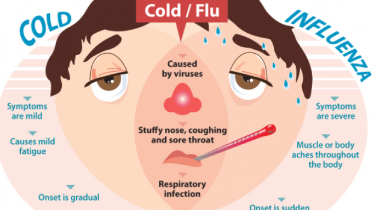 Cúm A và viêm mũi họng cấp - phân biệt như thế nào?