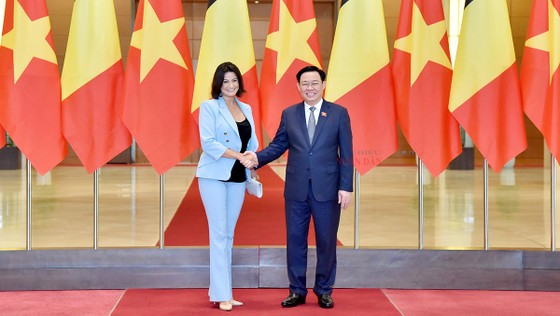 Thúc đẩy quá trình phê chuẩn Hiệp định Bảo hộ đầu tư Việt Nam - EU 