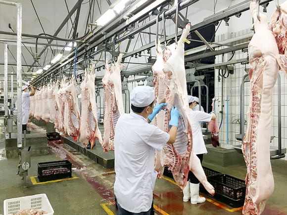 Giá thịt lợn được dự báo tăng trong 2 tuần tới 