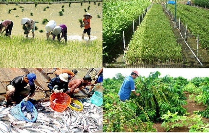 Truy xuất nguồn gốc nông sản: Lời giải để có nền nông nghiệp không ‘mù mờ’ 