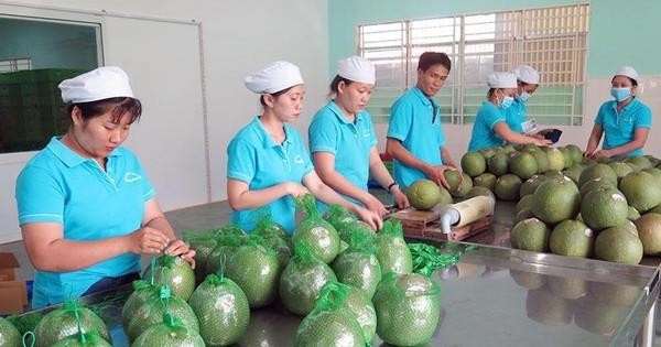 Tin vui bất ngờ với nhiều mặt hàng nông sản Việt 