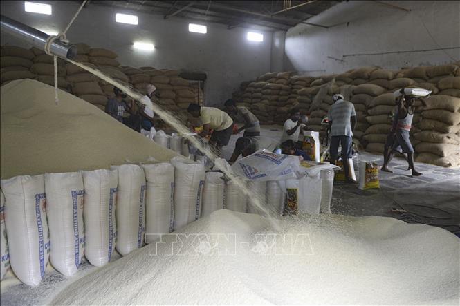 Ấn Độ dỡ bỏ lệnh cấm xuất khẩu gạo 
