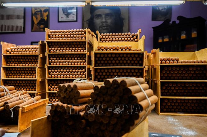 Cuba thắng kiện bản quyền thương hiệu xì gà Cohiba tại Mỹ sau 25 năm 