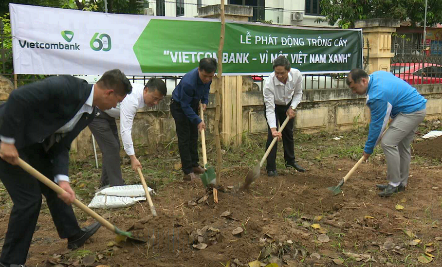 Vietcombank Hải Dương trồng 1.000 cây xanh