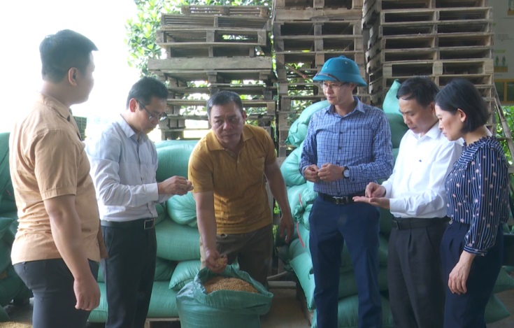 NCNN: Hội nông dân Bình Giang đẩy mạnh hoạt động hỗ trợ nông dân